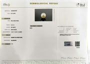 22.1/CT Natural South Sea Pearl With Lab Certificate (1550)