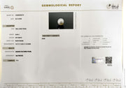 8.69/CT Natural South Sea Pearl With Lab Certificate (1550)