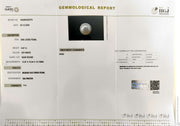 9.07/CT Natural South Sea Pearl With Lab Certificate (1550)