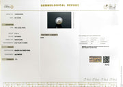 5.15/CT Natural South Sea Pearl With Lab Certificate (1550)