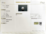 7.42/CT Natural South Sea Pearl With Lab Certificate (1550)