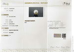Load image into Gallery viewer, 8.48/CT Natural South Sea Pearl With Lab Certificate (1550)