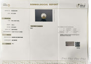 7.69/CT Natural South Sea Pearl With Lab Certificate (1550)