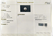 5.87/CT Natural South Sea Pearl With Lab Certificate (1550)