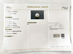 Load image into Gallery viewer, 5.10/CT Natural South Sea Pearl With Lab Certificate (1550)
