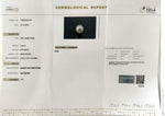 Load image into Gallery viewer, 3.94/CT Natural South Sea Pearl With Lab Certificate (1550)