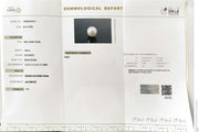 7.68/CT Natural South Sea Pearl With Lab Certificate (1550)