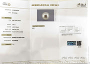 7.03/CT Natural South Sea Pearl With Lab Certificate-16140S206333