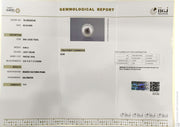 6.69/CT Natural South Sea Pearl With Lab Certificate-16140S206346