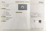 4.22/CT Natural South Sea Pearl With Lab Certificate-16311S207030