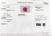 3.67/CT Natural Ruby Stone with Govt. Lab Certificate-16489S207697
