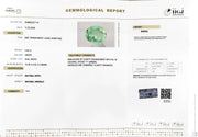 3.09/CT Natural Panna Stone with Govt. Lab Certificate-16489S207710