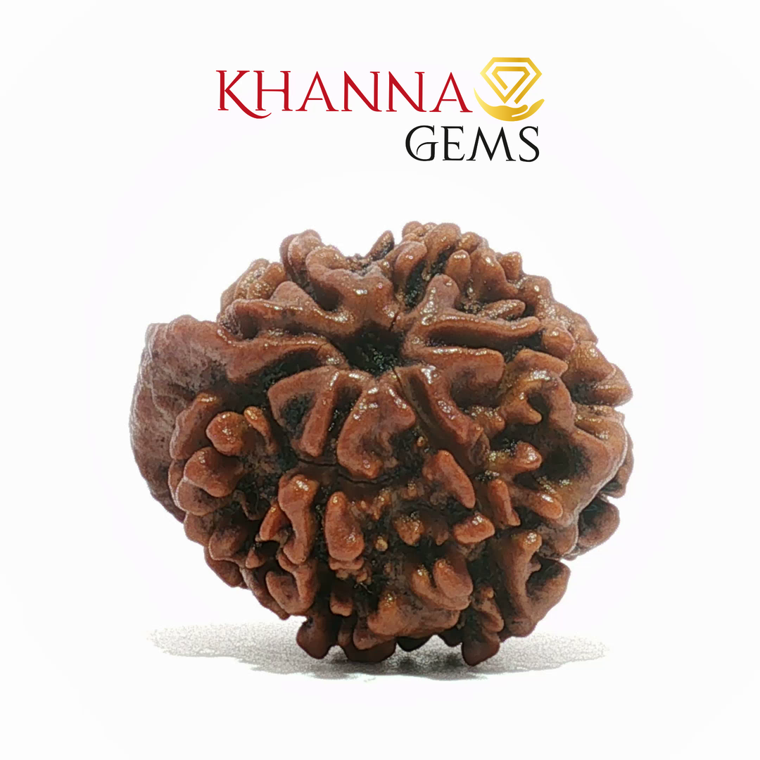 GANESH RUDRAKSHA