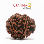 Load image into Gallery viewer, GANESH RUDRAKSHA