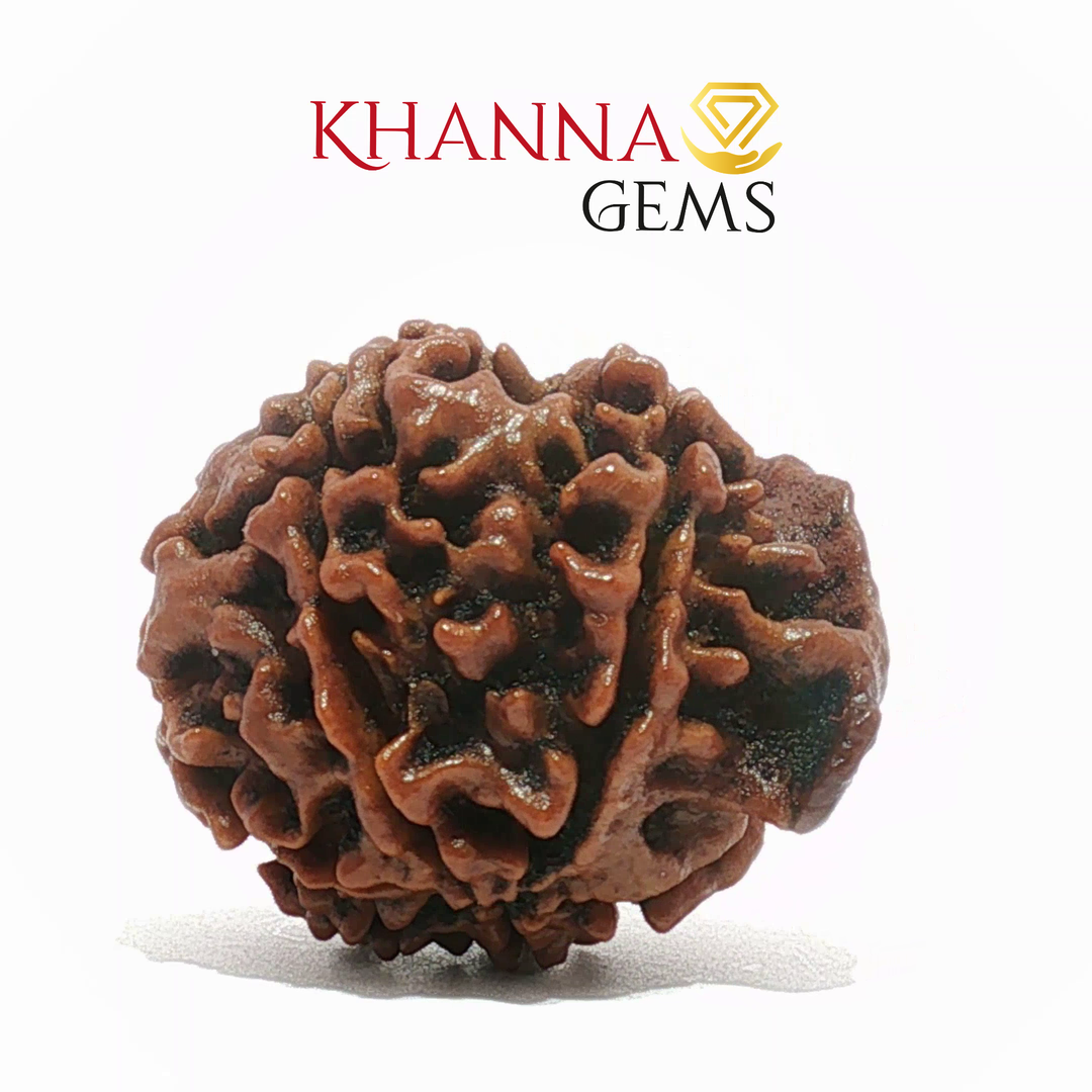 GANESH RUDRAKSHA
