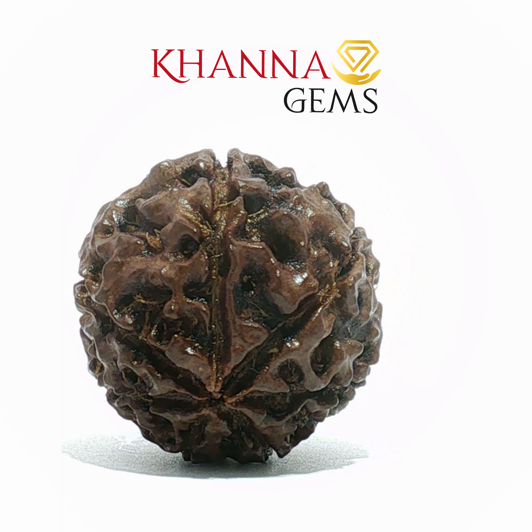 7 MUKHI NEPALI RUDRAKSHA
