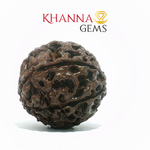 Load image into Gallery viewer, 7 MUKHI NEPALI RUDRAKSHA