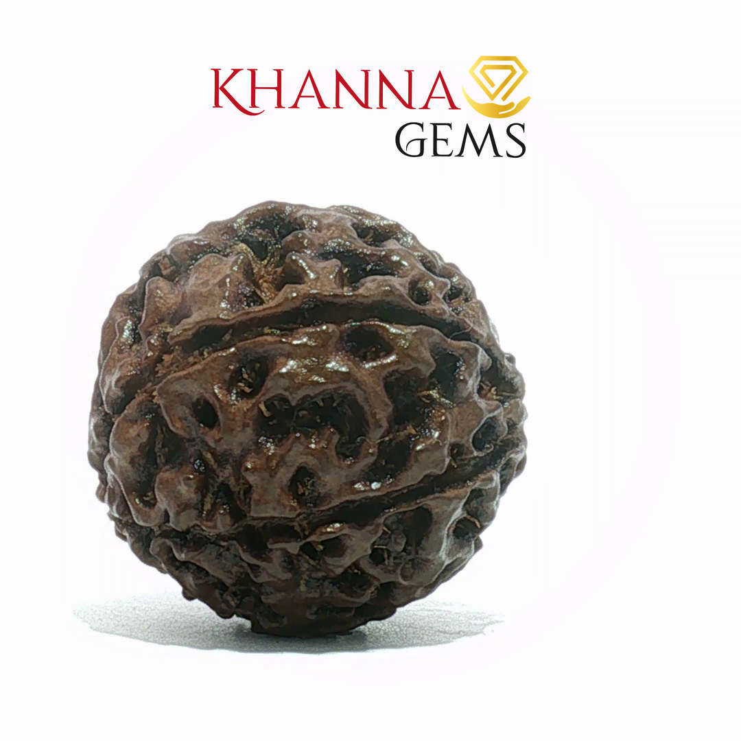 7 MUKHI NEPALI RUDRAKSHA