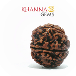 Load image into Gallery viewer, 6 MUKHI NEPALI RUDRAKSHA (BIG BEADS)