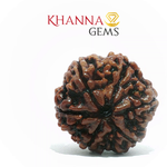 Load image into Gallery viewer, 6 MUKHI NEPALI RUDRAKSHA (BIG BEADS)