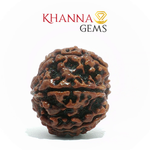 Load image into Gallery viewer, 6 MUKHI NEPALI RUDRAKSHA (BIG BEADS)