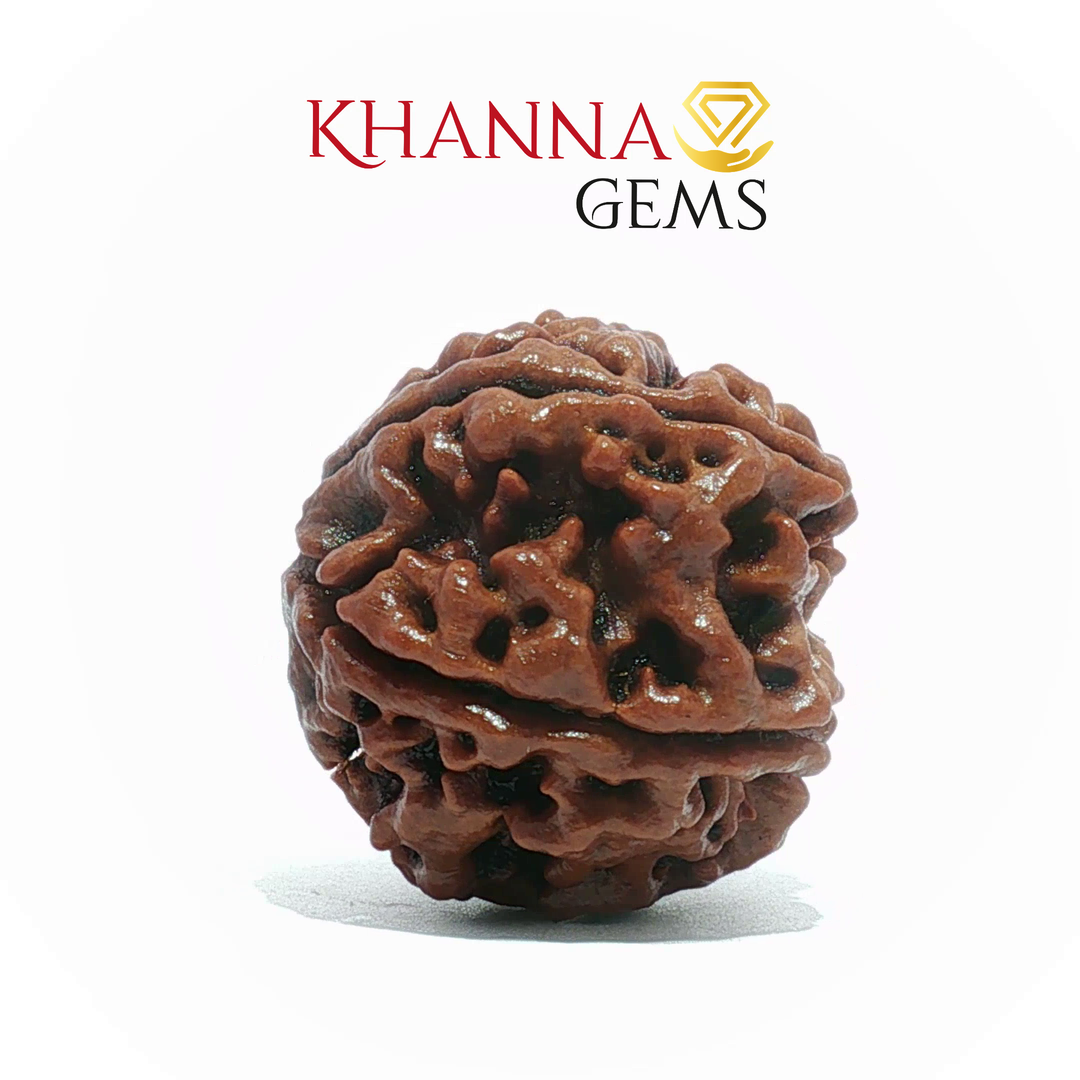 5 MUKHI NEPALI RUDRAKSHA (BIG BEADS)