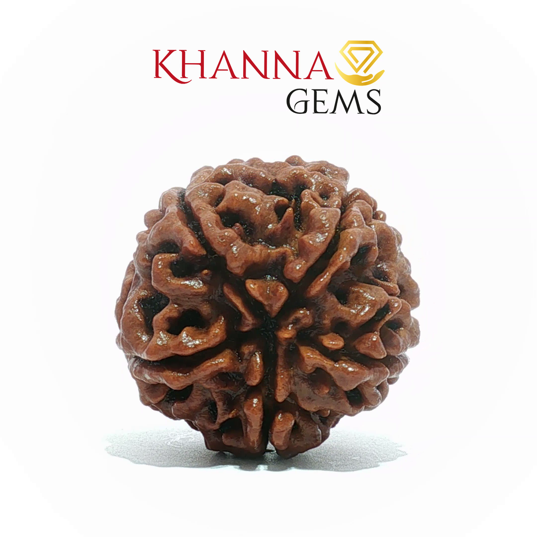 5 MUKHI NEPALI RUDRAKSHA (BIG BEADS)