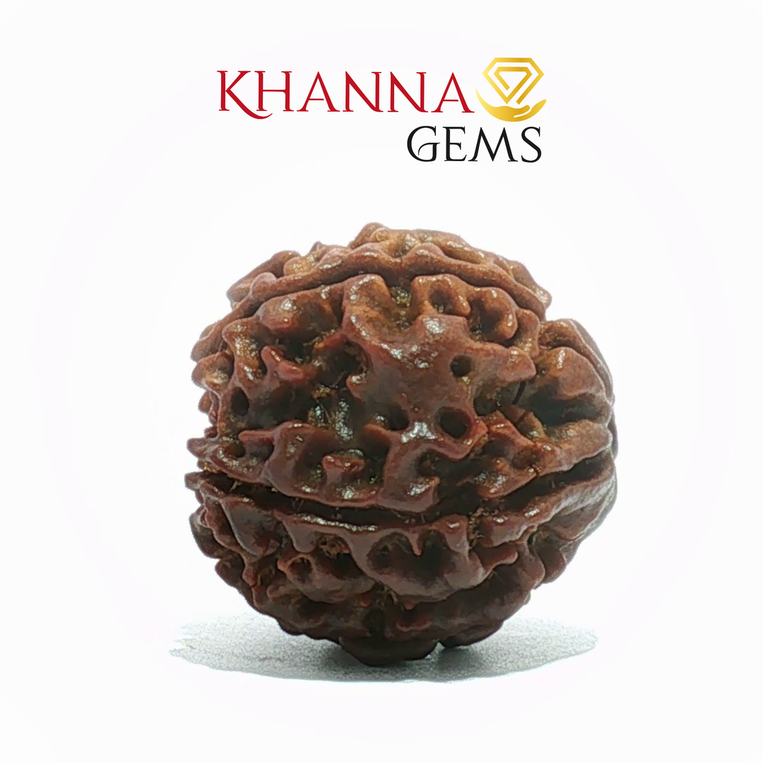 6 MUKHI NEPALI RUDRAKSHA