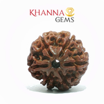 Load image into Gallery viewer, 6 MUKHI NEPALI RUDRAKSHA
