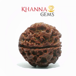 Load image into Gallery viewer, 6 MUKHI NEPALI RUDRAKSHA