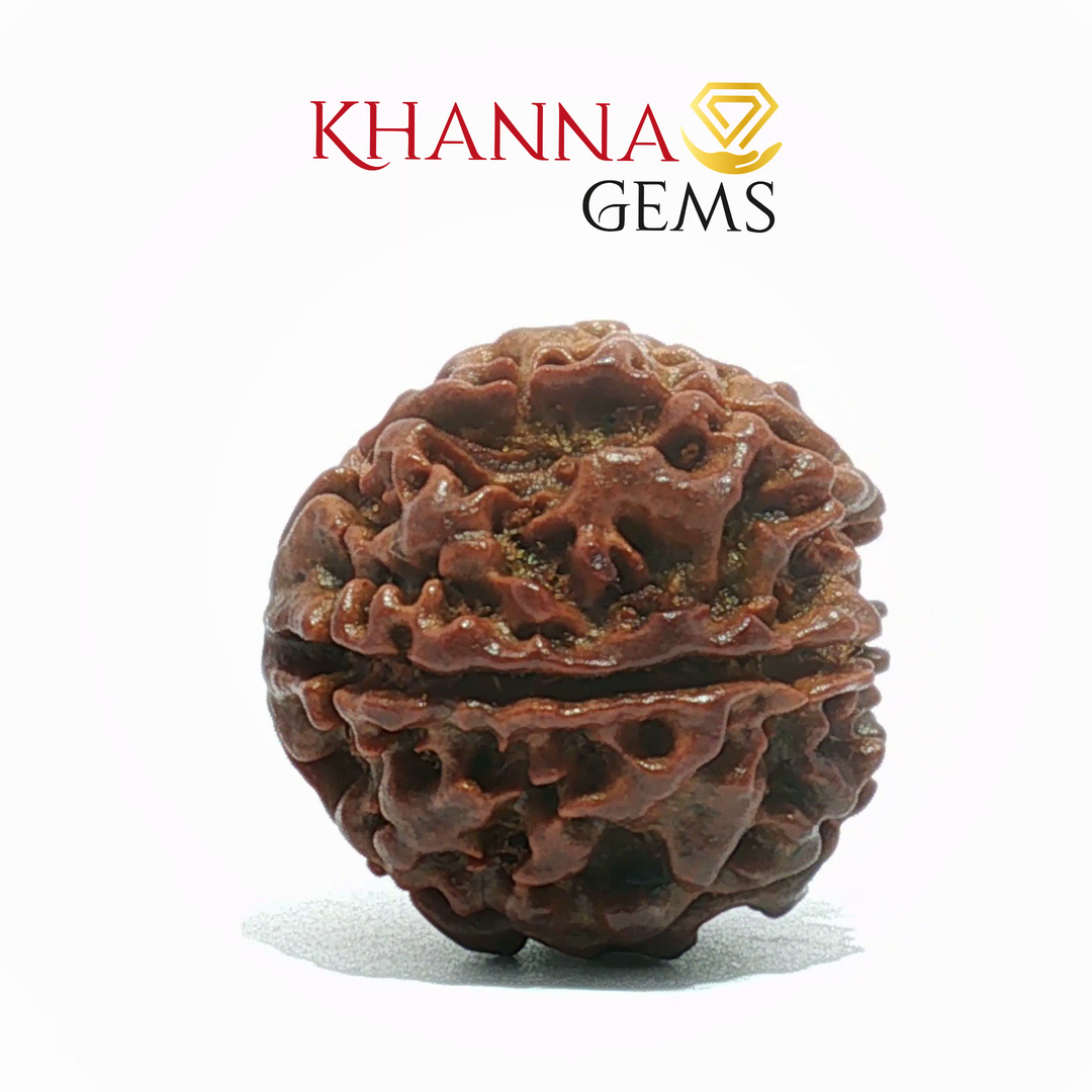 6 MUKHI NEPALI RUDRAKSHA