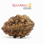 Load image into Gallery viewer, NATURAL 2 MUKHI NEPALI RUDRAKSHA