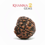 Load image into Gallery viewer, NATURAL 7 MUKHI NEPALI RUDRAKSHA