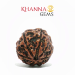 Load image into Gallery viewer, NATURAL 7 MUKHI NEPALI RUDRAKSHA