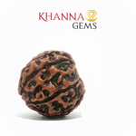 Load image into Gallery viewer, NATURAL 7 MUKHI NEPALI RUDRAKSHA