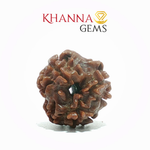 Load image into Gallery viewer, 3 MUKHI NEPALI RUDRAKSHA