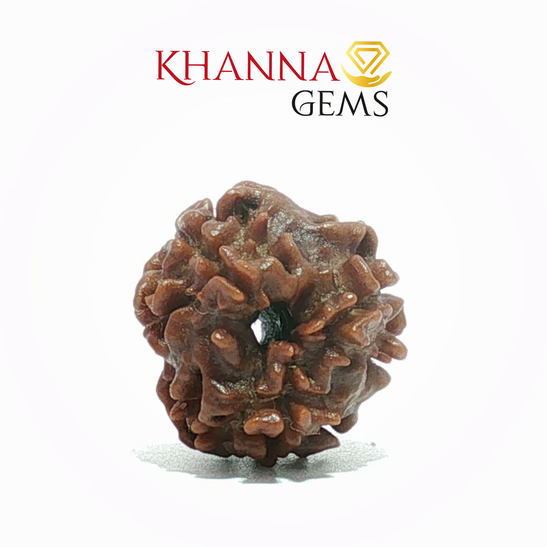 3 MUKHI NEPALI RUDRAKSHA