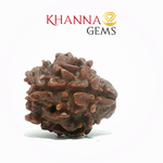 Load image into Gallery viewer, 3 MUKHI NEPALI RUDRAKSHA