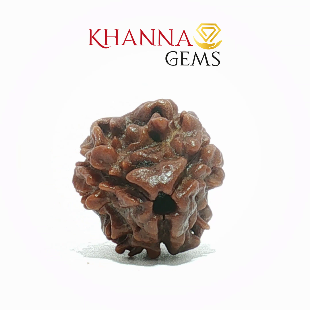 3 MUKHI NEPALI RUDRAKSHA