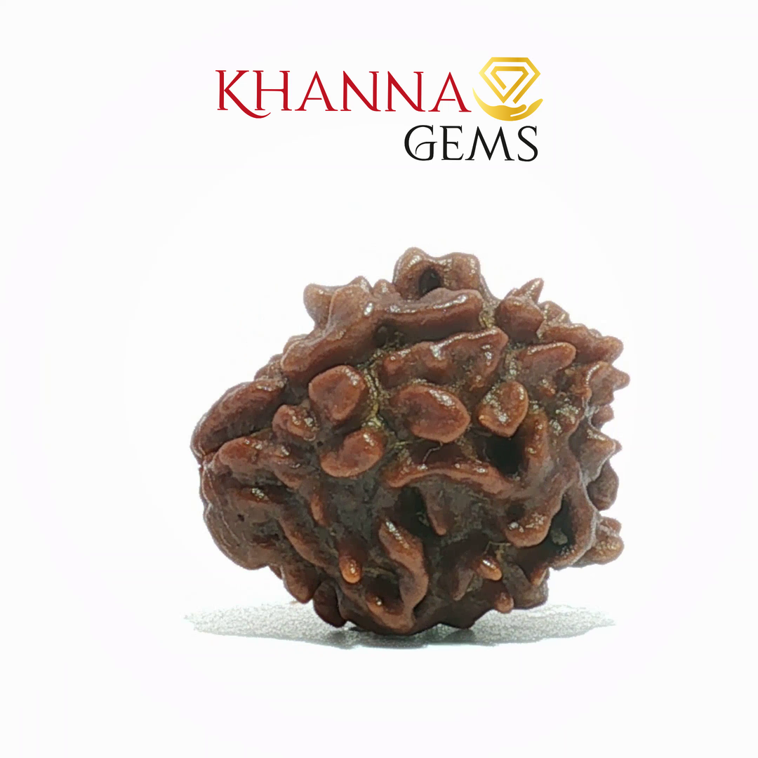 3 MUKHI NEPALI RUDRAKSHA