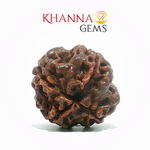 Load image into Gallery viewer, 4 MUKHI NEPALI RUDRAKSHA