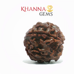 Load image into Gallery viewer, 4 MUKHI NEPALI RUDRAKSHA