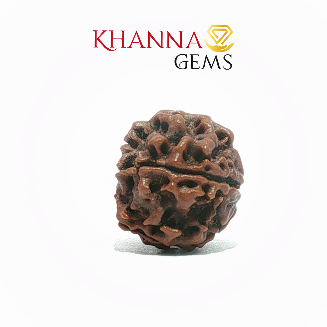 5 MUKHI NEPALI RUDRAKSHA