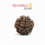 Load image into Gallery viewer, 5 MUKHI NEPALI RUDRAKSHA
