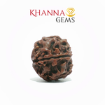 Load image into Gallery viewer, 5 MUKHI NEPALI RUDRAKSHA