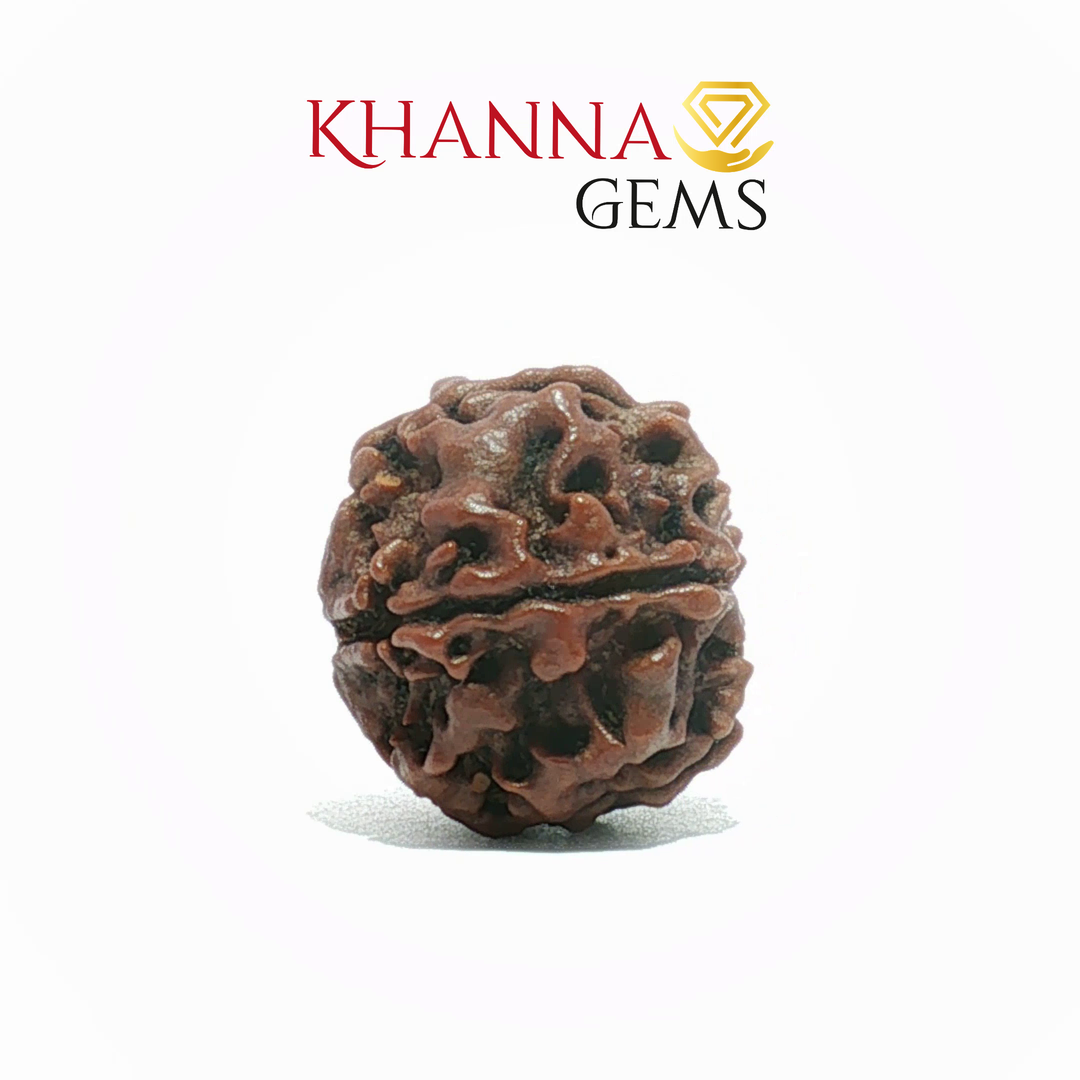 5 MUKHI NEPALI RUDRAKSHA