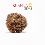 Load image into Gallery viewer, NATURAL 3 MUKHI NEPALI RUDRAKSHA