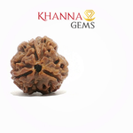 Load image into Gallery viewer, NATURAL 3 MUKHI NEPALI RUDRAKSHA