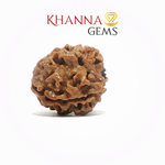 Load image into Gallery viewer, NATURAL 3 MUKHI NEPALI RUDRAKSHA