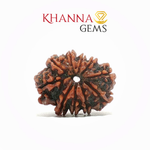 Load image into Gallery viewer, 10 MUKHI NEPALI RUDRAKSHA